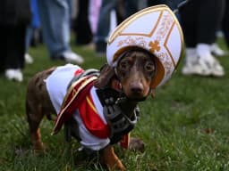 PET - Torino accoglie la Sausage Walk