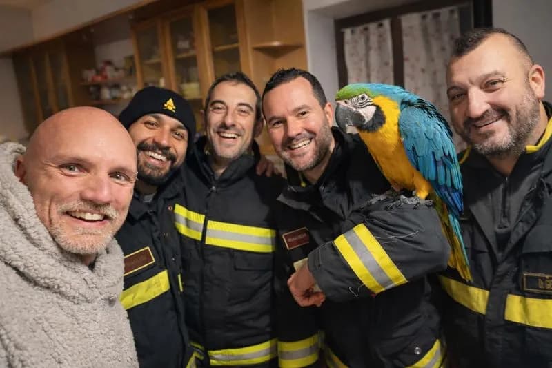 SETTIMO ROTTARO - Paralizzato da freddo e paura, il pappagallo Arhen salvato dai vigili del fuoco