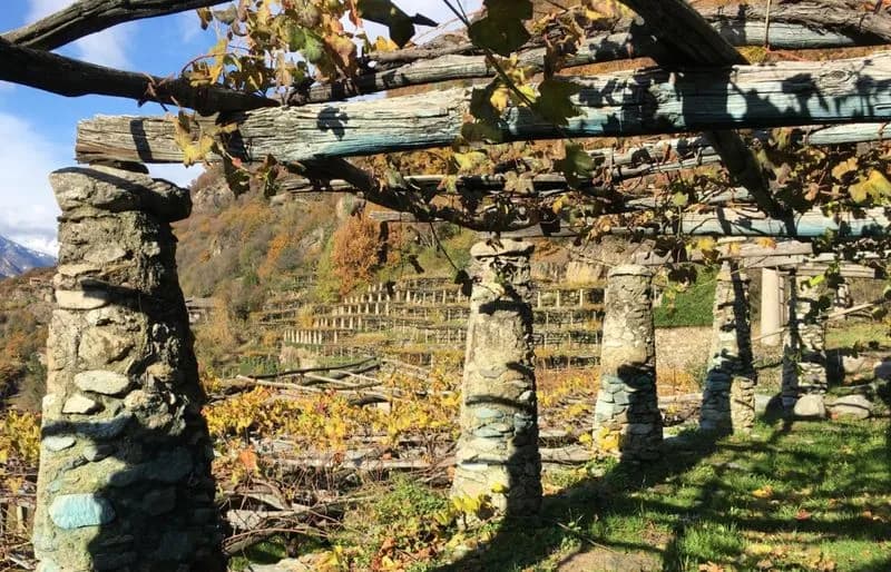 CANAVESE - I «Paesaggi Terrazzati Viticoli e Agricoli del Mombarone» presentati a Roma alla Camera dei Deputati - FOTO