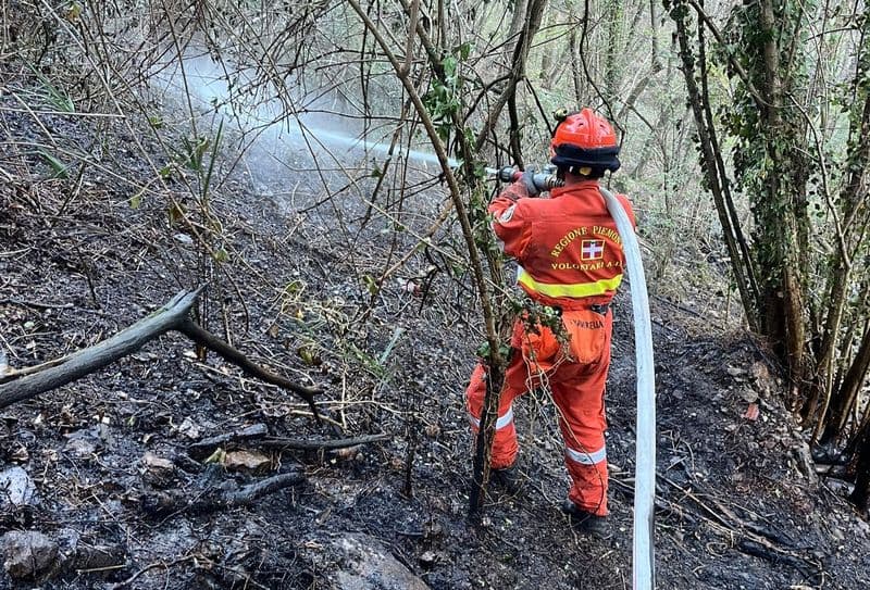 TRAVERSELLA - Incendio boschivo, ore di lavoro per Aib e vigili del fuoco - FOTO