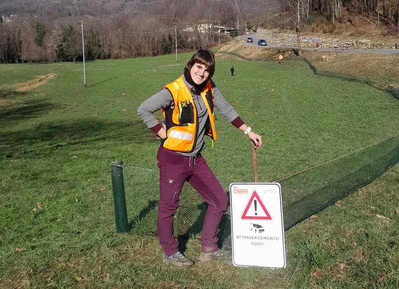 VALCHIUSELLA - Migrazione dei rospi: al via le operazioni di salvataggio con reti, cartelli e rospodotti