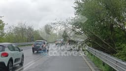 CANAVESE - Allerta gialla per pioggia, alberi giù lungo la 460