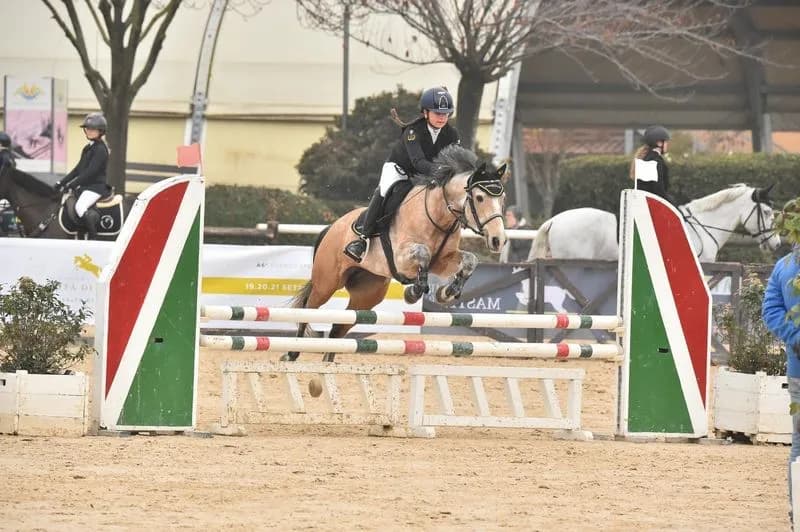 VALPERGA - Equitazione, la giovane Nicole Amione brilla al Christmas Show di San Giovanni in Marignano - FOTO