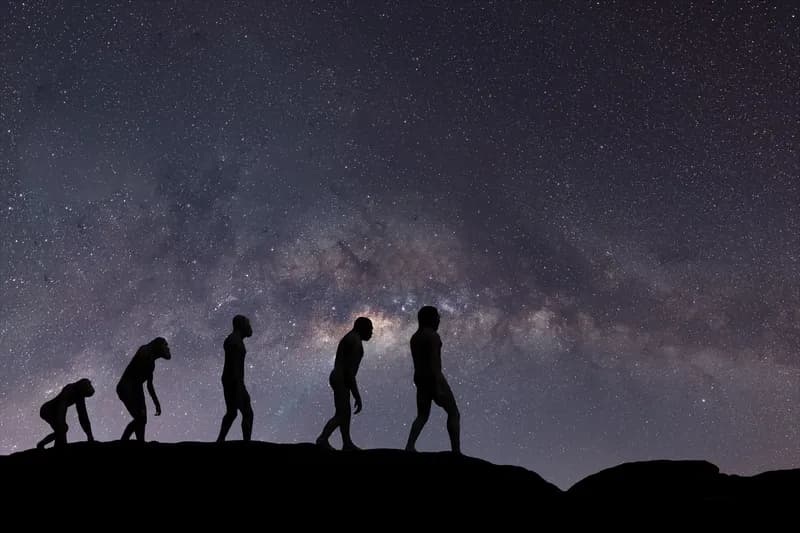 PARCO GRAN PARADISO - «Natura in Evoluzione»: in Valle Soana alla scoperta dei fossili e dell'evoluzione umana