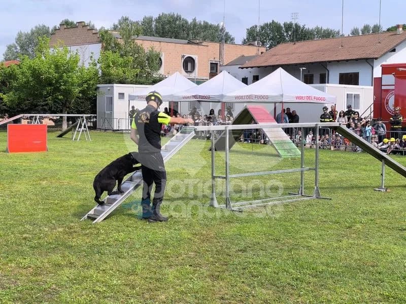 VOLPIANO - L'eccellenza dei vigili del fuoco della Scuola Nazionale Cinofili - FOTO e VIDEO