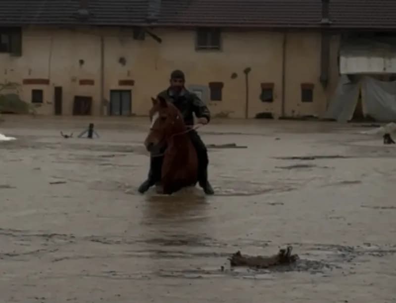 VOLPIANO - «I nostri cavalli hanno bisogno di voi»: raccolta fondi dell'Accademia dei Cavalieri dopo i danni dell'alluvione