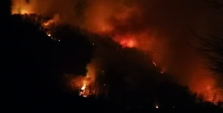 LESSOLO-BROSSO - Piromani di nuovo in azione: un vasto incendio devasta i boschi e si avvicina alle case - FOTO