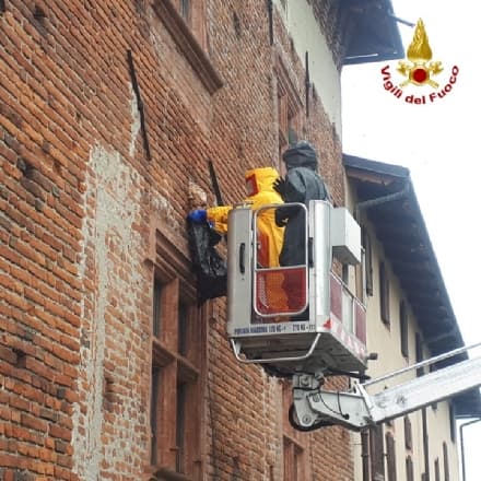 VESTIGNE' - Nido di calabroni alla casa di riposo: intervento dei pompieri - FOTO