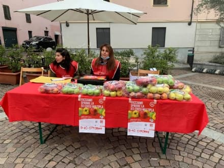 VOLPIANO - La Pro loco in piazza per la ricerca contro la Sclerosi Multipla