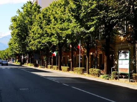 RIVAROLO - Ladri di bandiere in azione: rubati i «tricolori» in corso Torino