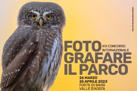 GRAN PARADISO - In mostra al Forte di Bard i vincitori della sedicesima edizione di «Fotografare il Parco»