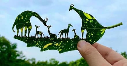 ARTE – Le foglie morte di un giovane filippino