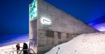 FUTURO - L'archivio eterno di tutta la musica del mondo