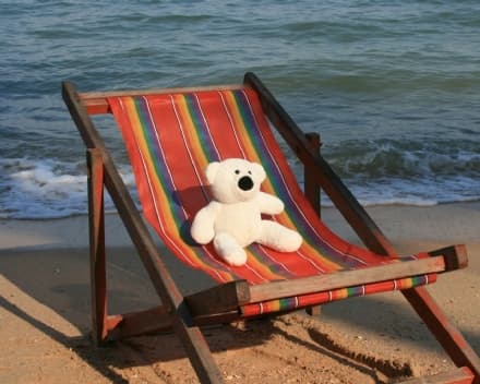 TREND - Il fenomeno «Toy Traveling»