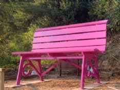 LEVONE - Un premio speciale per la panchina gigante del paese